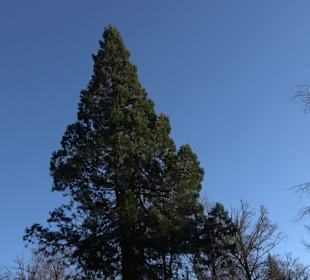 Wanderung rund um den Ochsenweiher