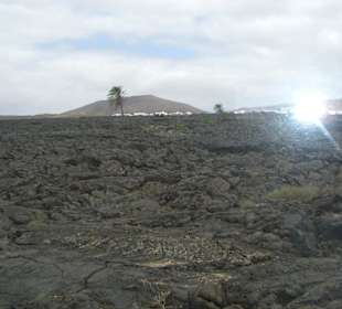 Blick aus einem Fenster