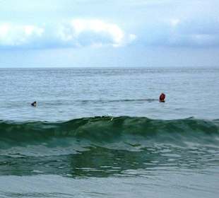 "Panschen mit den Robben"
