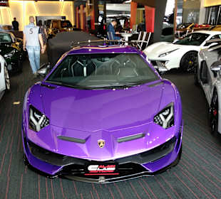 Al Ain Class Motors