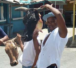 Andy Tour mit viel Vitamina und Spaß