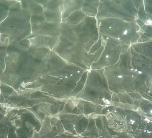 Strand am Hotel Hipotels Hipocampo Palace & Spa