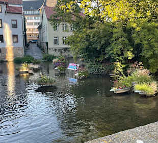 Flüsschen Gera