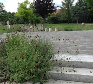 Blühendes Neresheim 2021