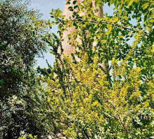 Antalyas Wahrzeichen