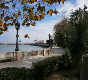 Cádiz