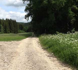 Premiumwanderweg "hochgehackert"