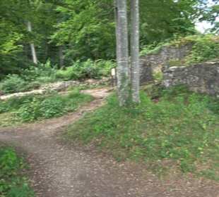 Burg Alt-Lichtenstein