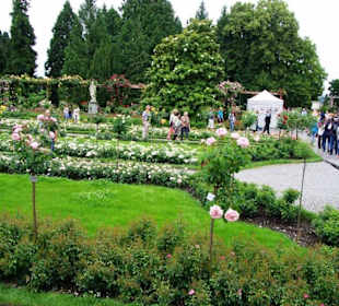 Rosengarten seitlich gesehen