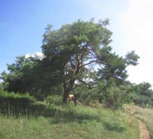 Impression unterwegs