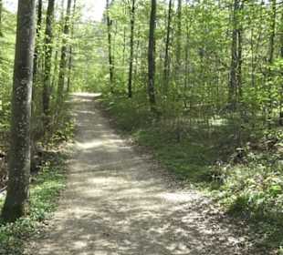 Wanderweg Firstwaldrunde