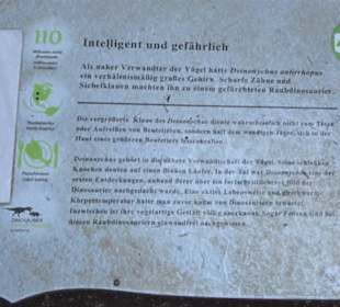 Dinosaurier Museum Altmühltal