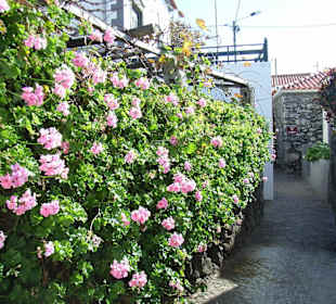 Gasse in Jardim do Mar