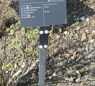 Erläuterungen der Kräuter