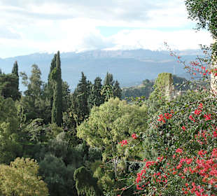 Vegatation im Dezember am Ätna