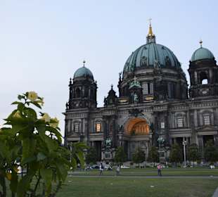 Katedra św. Jadwigi