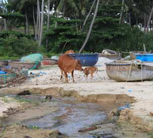 Ein paar hundert Meter den Strand entlang