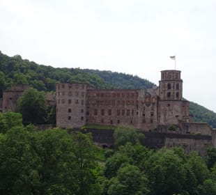 Schloss Heidelberg Ein-und Ausblicke