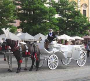 Krakauer Schönheiten