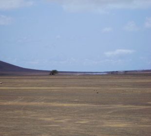 Noch eine kleine Fatah Morgana