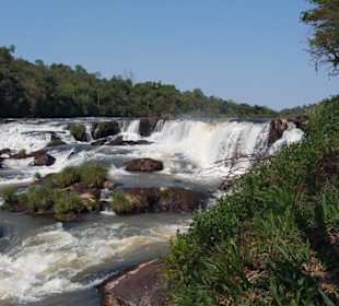 Iguassus kleine Schwester