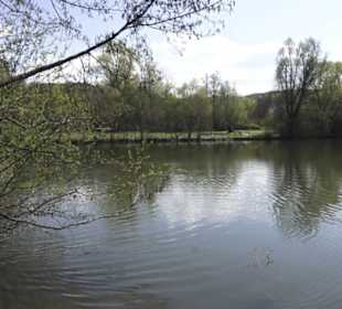 Sport- und Freizeitpark Markwasen