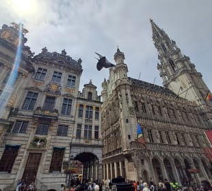  Rathaus Brüssel in Brüssel, Belgien 