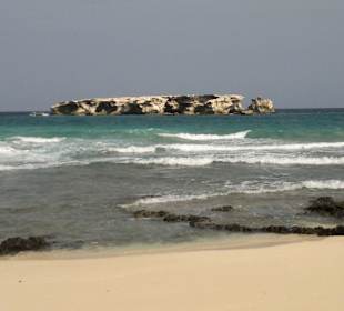 Bird Island, from tour on Quads