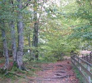 Neben dem Klettergarten
