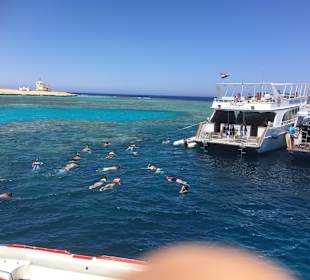 Schnorcheln Makadi Bay