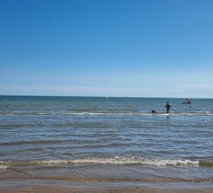 Viele sind im Wasser klar