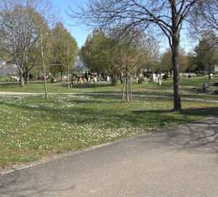 Neuer Friedhof