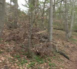 Wanderung rund um das Rusenschloss Gerhausen