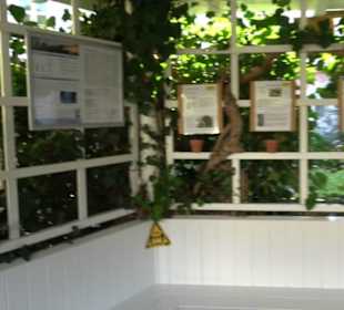 Biotopgarten