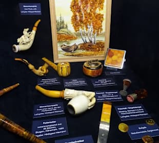 In der Sonderausstellung Bernstein im Natureum