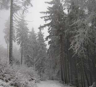 W drodzę na Ślężę