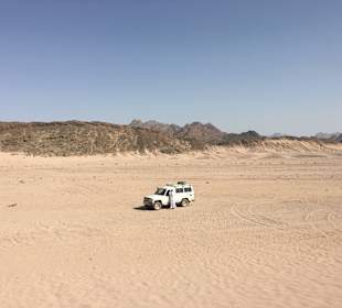 Der Wüstensafari - Jeep
