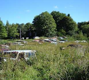 Autofriedhof am Foxen