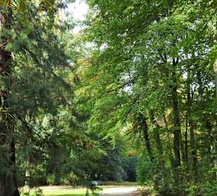 Spaziergang durch den Stadtpark Versmold