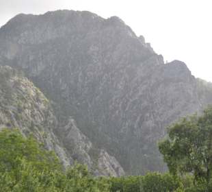 Taurus wieder zurück