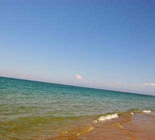 Gündogdu Meer vom feinsten