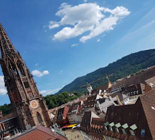 Blick von der Terrasse des Skajo