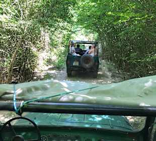 Jeep-Safari über das Hotel gebucht