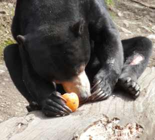 ZOO Jihlava