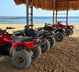 Quad Tour El Quseir