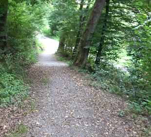 Altwege Rundwanderung Bebenhausen