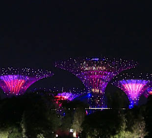 Gardens by the Bay abends