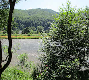 Valea Mureșului / Mureș-Tal 