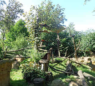 Panda Gehege