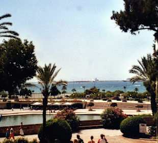 Parkanlage in Palma und dahinter das Meer